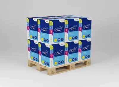 Color Copy Farblaserpapier 80g/qm DIN A4 - Palette (100.000 Blatt)